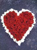 Red rose heart 
