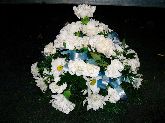 Round Oasis £25
