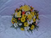 Round Oasis £25