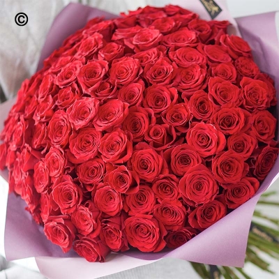 100 Premium Rose Bouquet