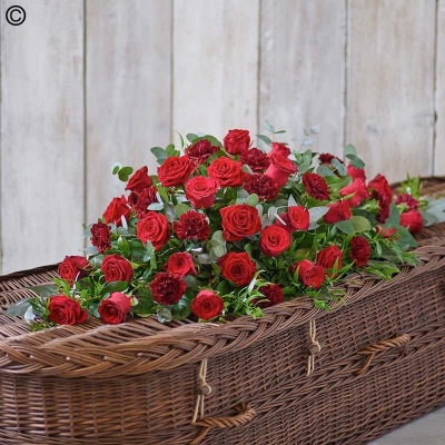 Rose and Carnation Coffin Spray